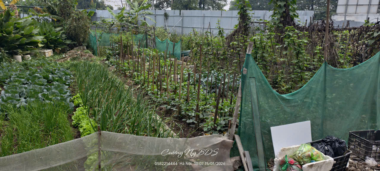 Đất đẹp phân lô trục chính ô tô tránh